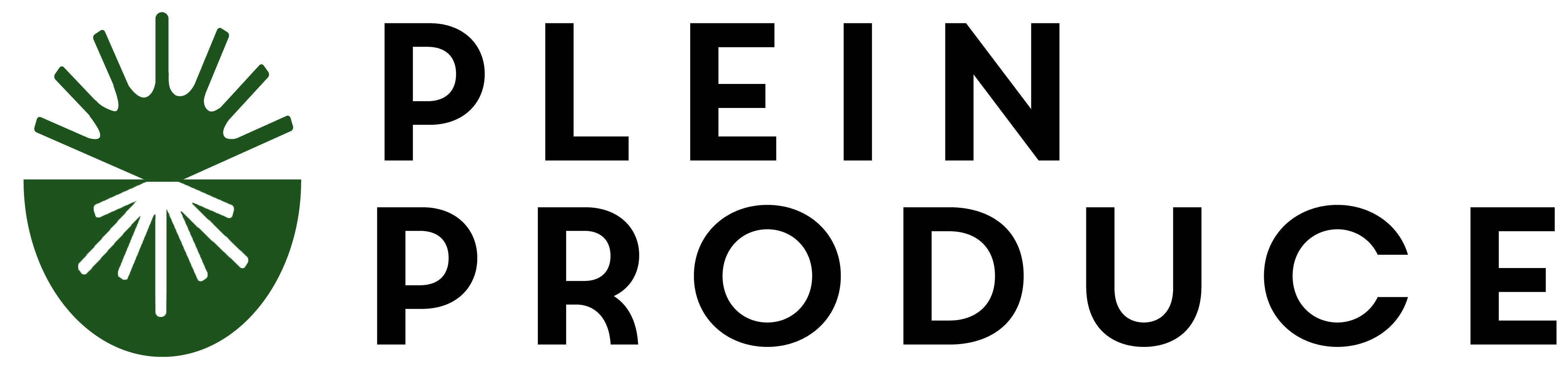listmonk